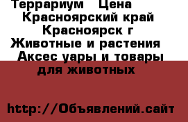 Террариум › Цена ­ 600 - Красноярский край, Красноярск г. Животные и растения » Аксесcуары и товары для животных   